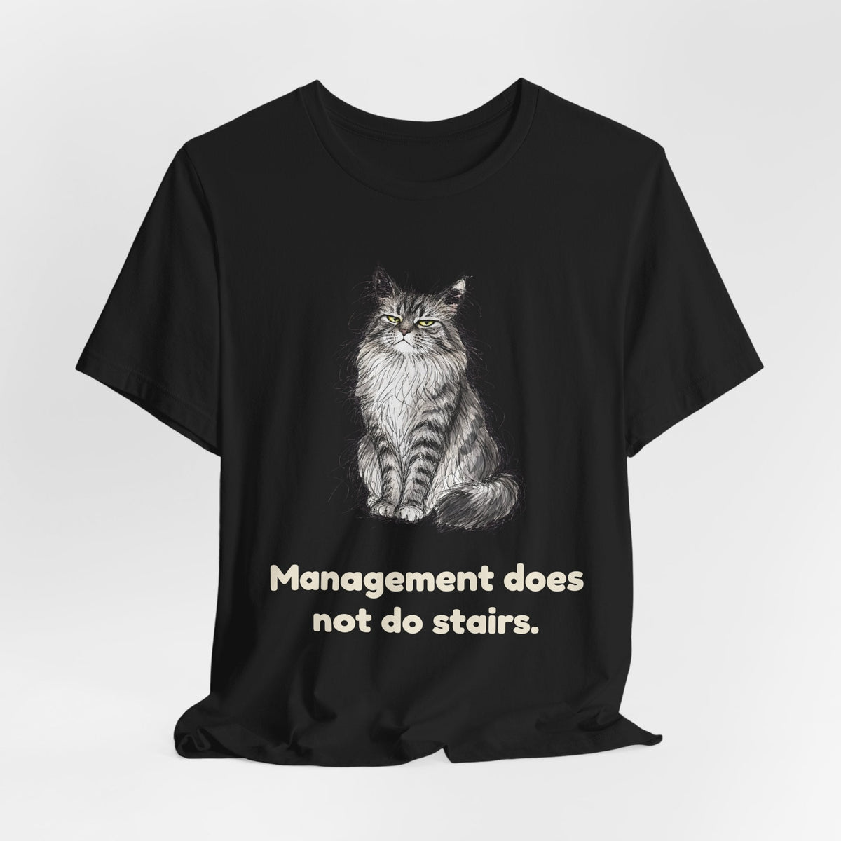 She Read Your File — Funny Maine Coon Cat T-Shirt