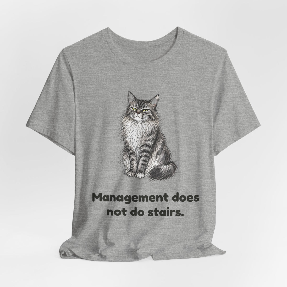 She Read Your File — Funny Maine Coon Cat T-Shirt