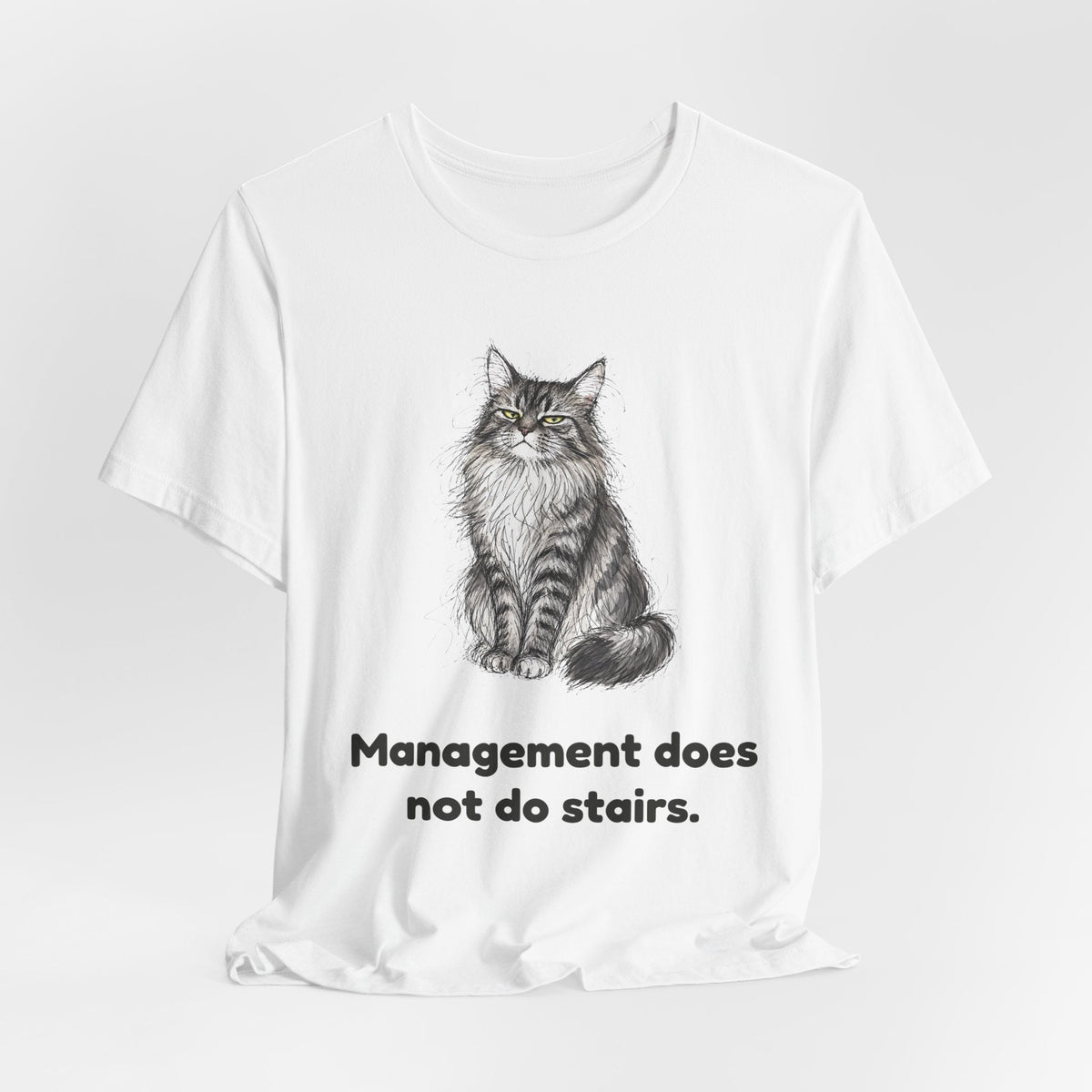 She Read Your File — Funny Maine Coon Cat T-Shirt
